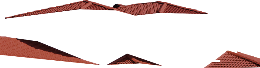 Roof-Pale-Homestead-img-2