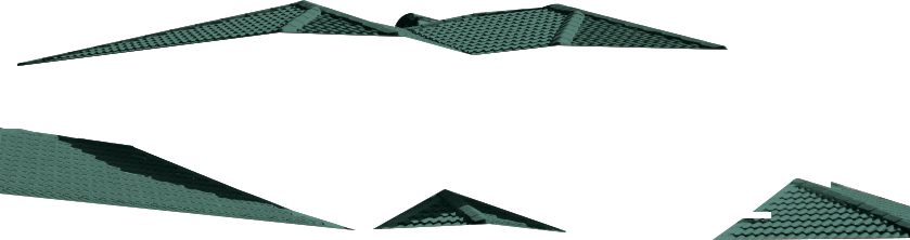 Roof-Rivergum-img-16