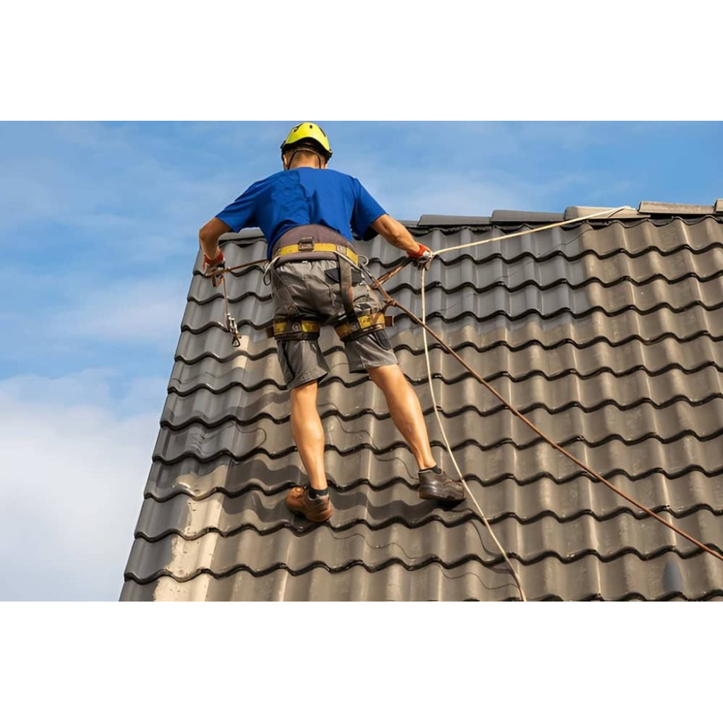 Roof Painting & Coating