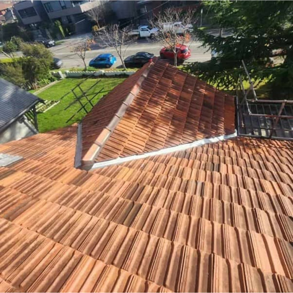 Roof Pointing